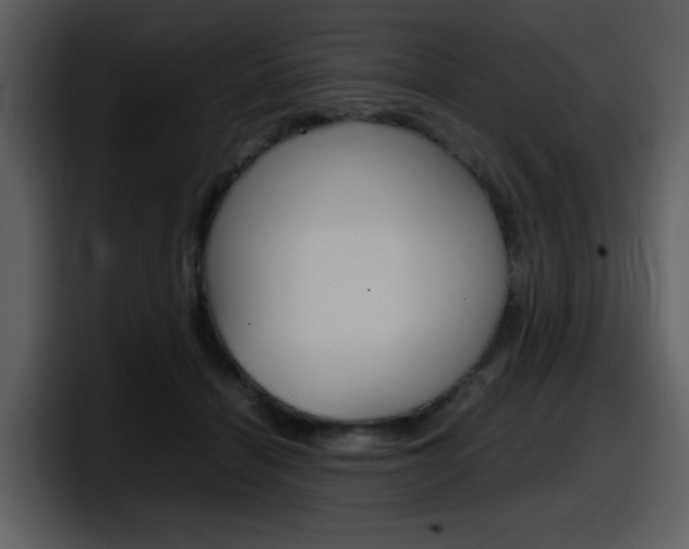 X0000098100460200804040750