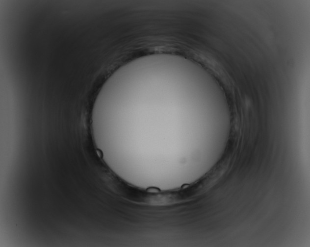 X0000098100461200804040750