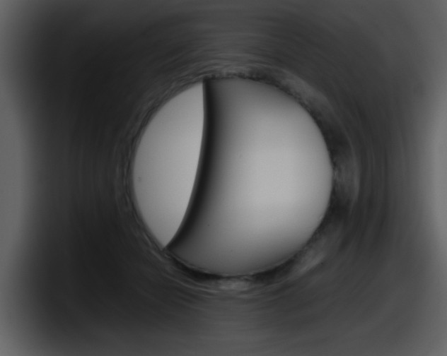 X0000098100462200804040750