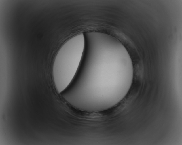 X0000098100463200804040750