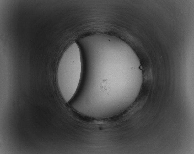 X0000098100464200804040750