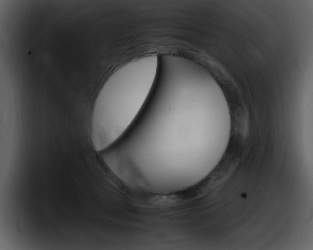 X0000098100465200804040750