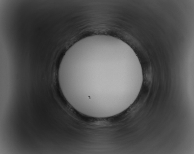 X0000098100468200804040750