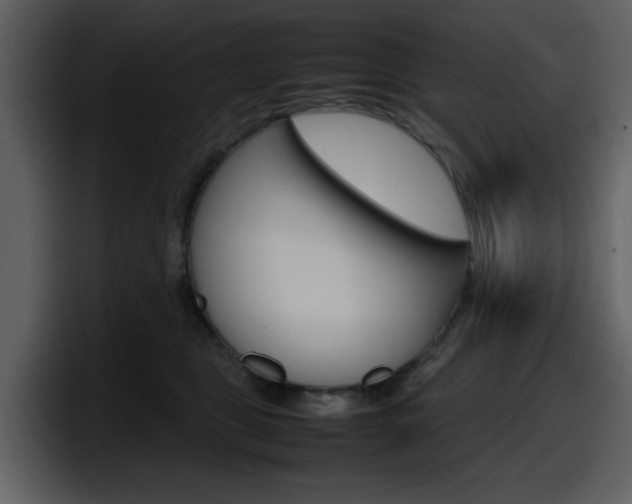 X0000098100469200804040750