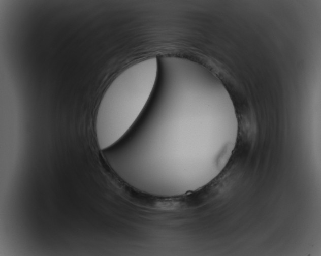 X0000098100470200804040750