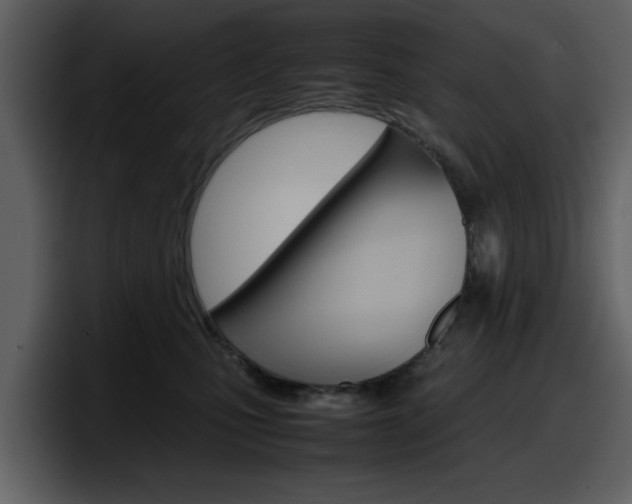 X0000098100471200804040750