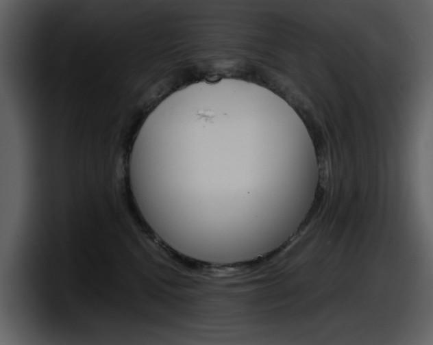 X0000098100472200804040750