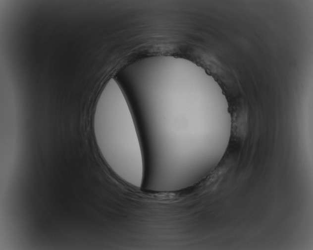 X0000098100474200804040750