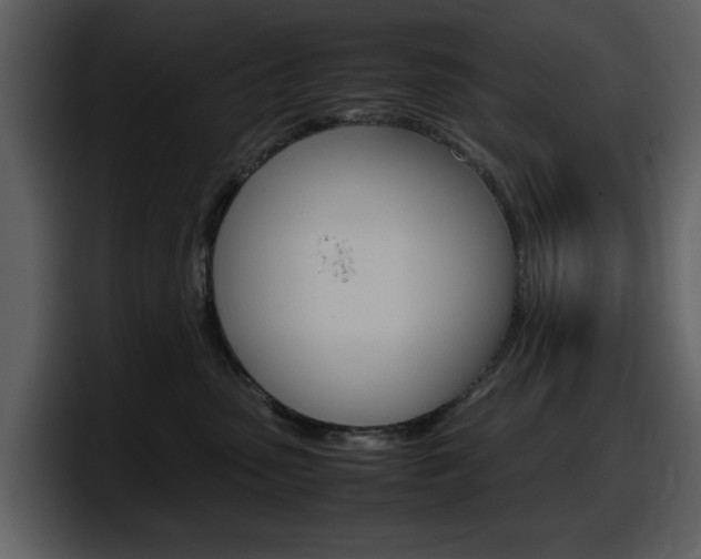 X0000098100475200804040750