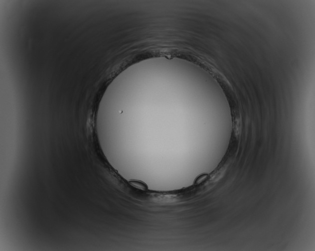 X0000098100476200804040750