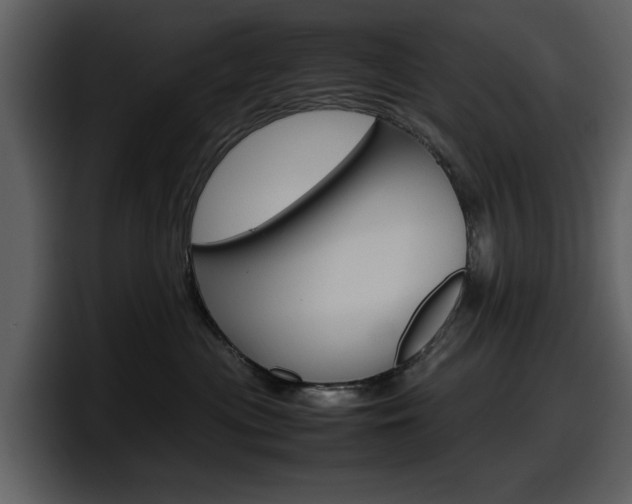 X0000098100477200804040750