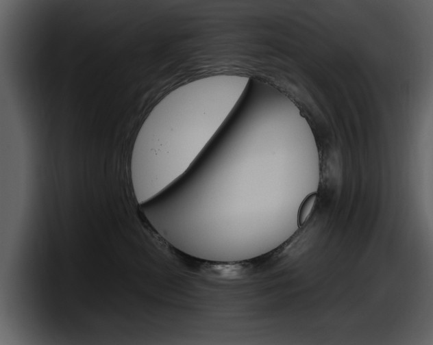X0000098100478200804040750