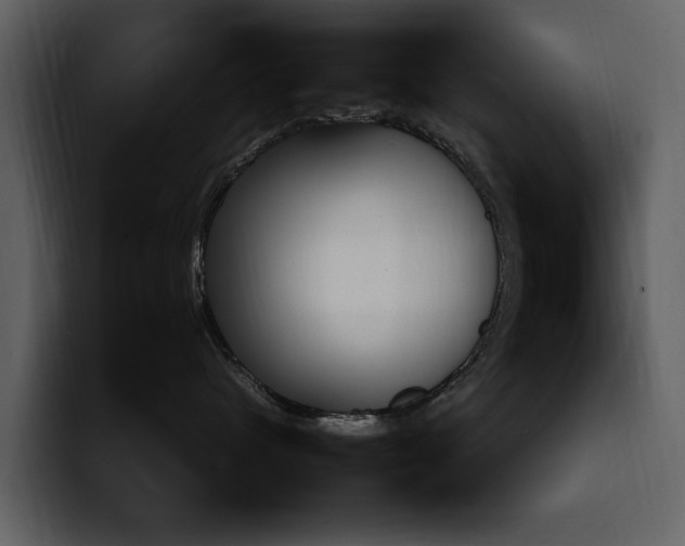 X0000098100480200804040750
