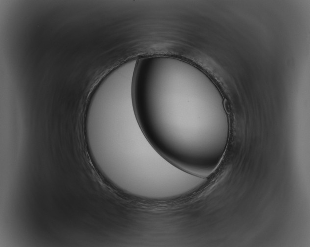 X0000098100481200804040749