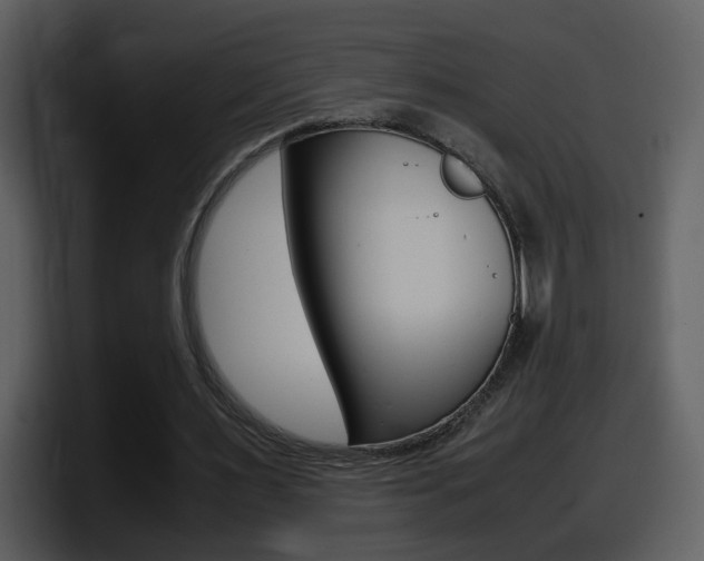 X0000098100483200804040749
