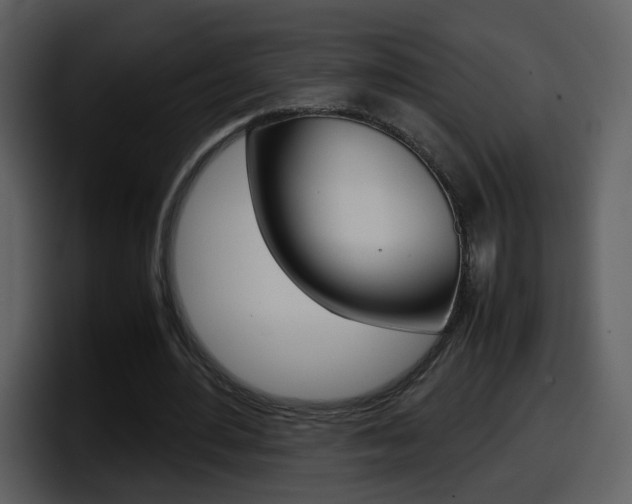 X0000098100484200804040749
