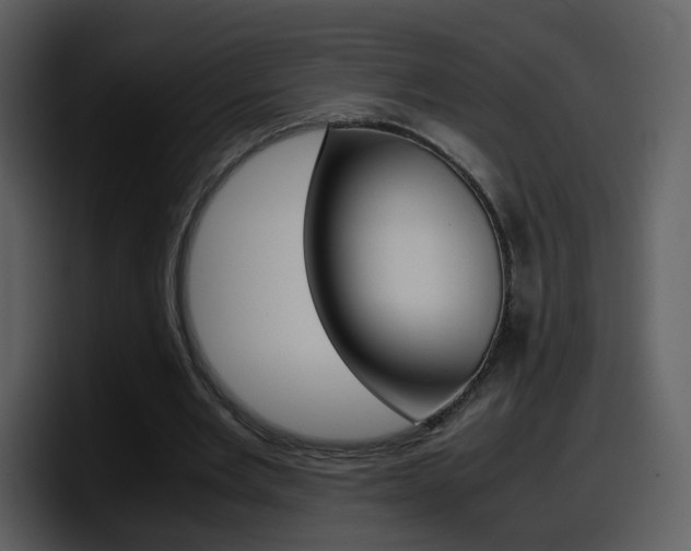 X0000098100485200804040749