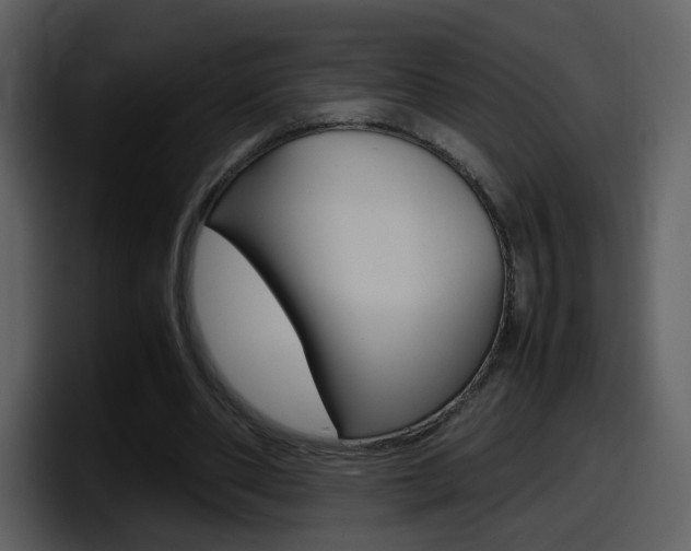 X0000098100486200804040749