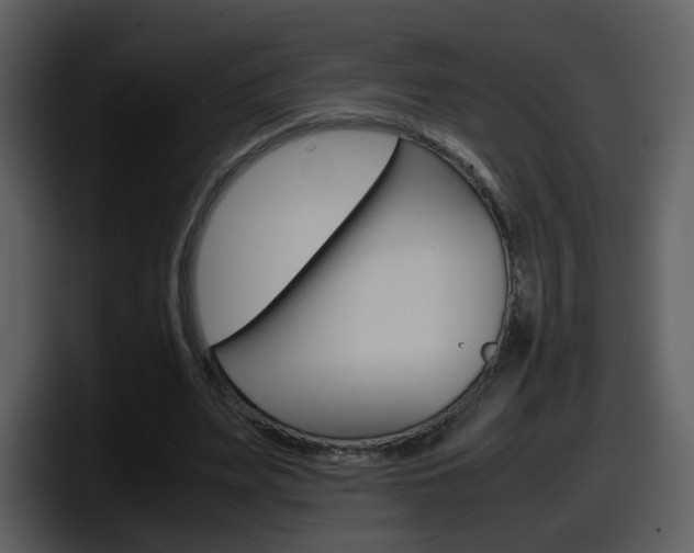 X0000098100487200804040749
