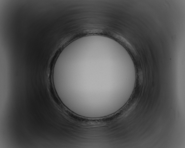 X0000098100490200804040749