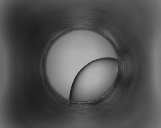 X0000098100491200804040749