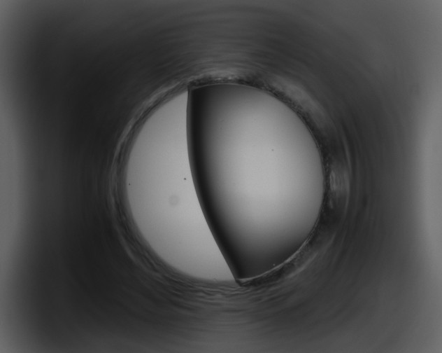 X0000098100492200804040749