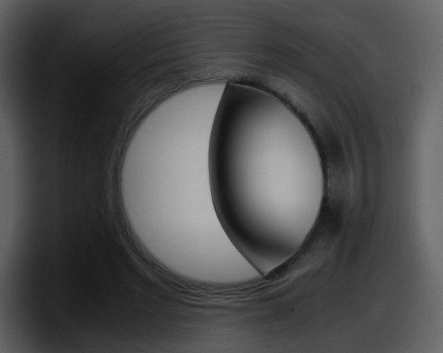 X0000098100493200804040749