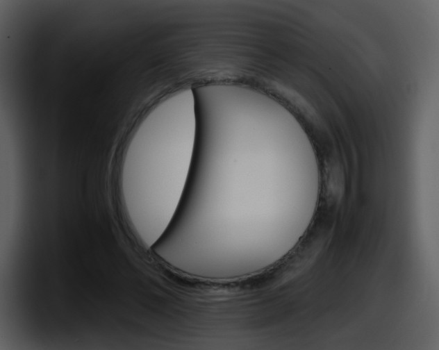 X0000098100494200804040749