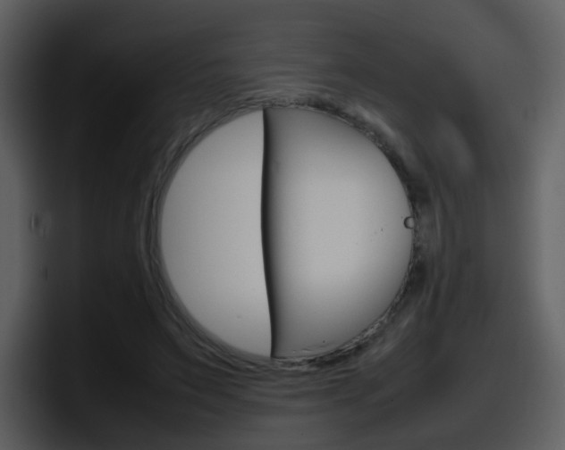 X0000098100495200804040749