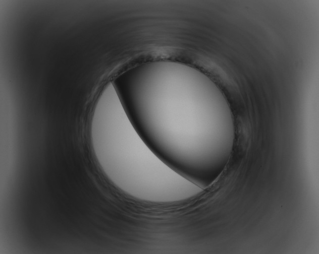 X0000098100496200804040749