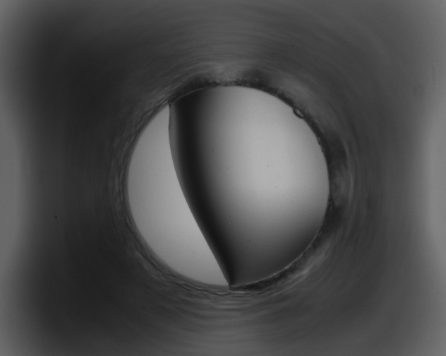 X0000098100497200804040749