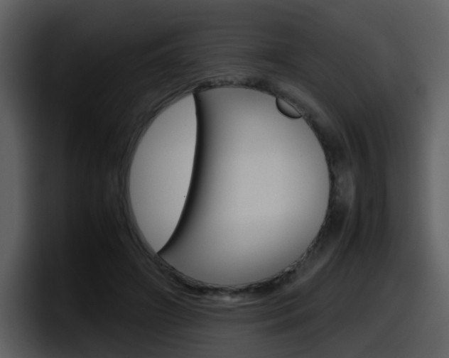 X0000098100498200804040749