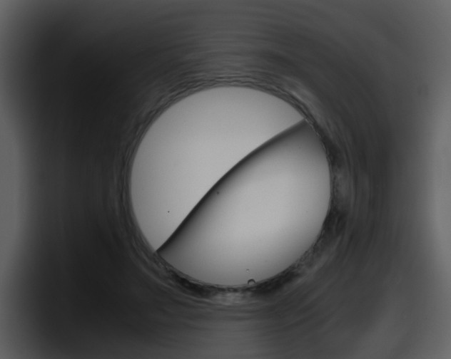 X0000098100499200804040749