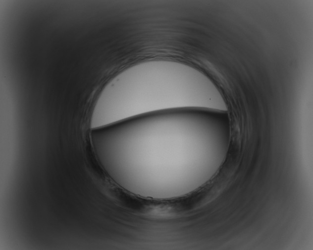X0000098100500200804040749