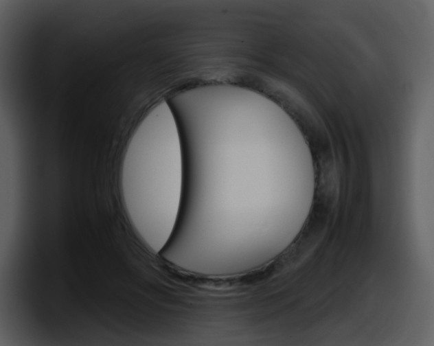 X0000098100502200804040749