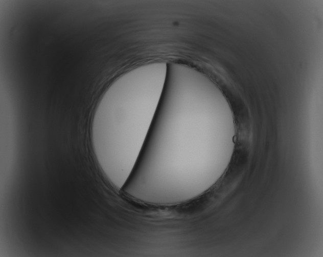 X0000098100503200804040749