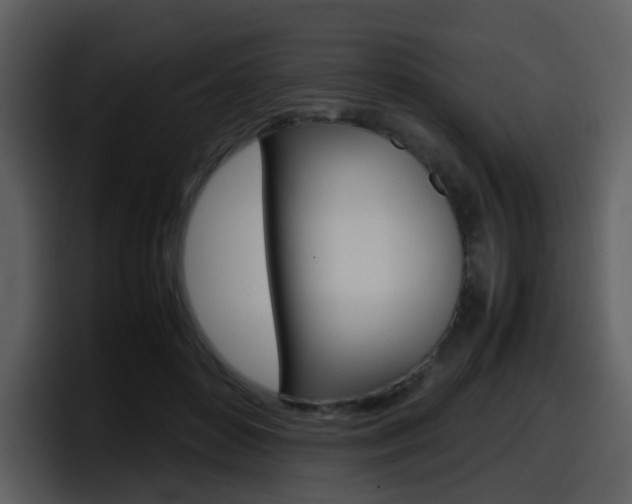 X0000098100504200804040749