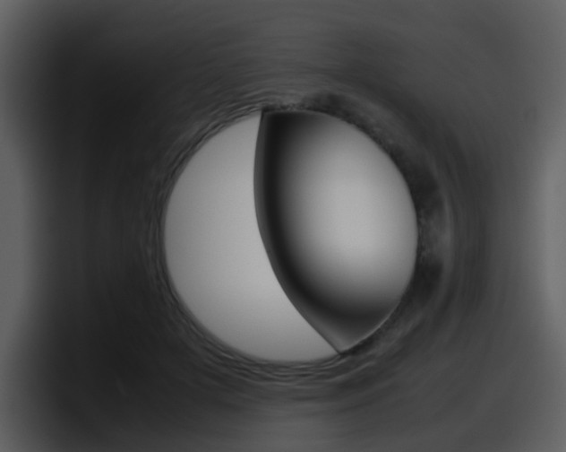 X0000098100505200804040749