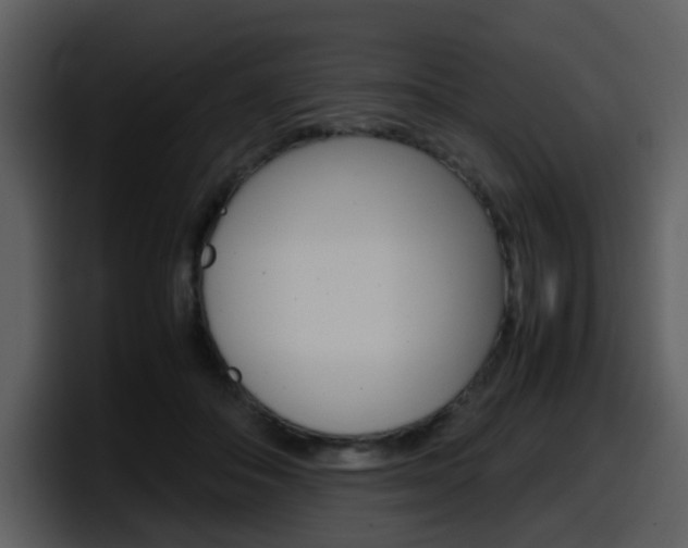 X0000098100506200804040749