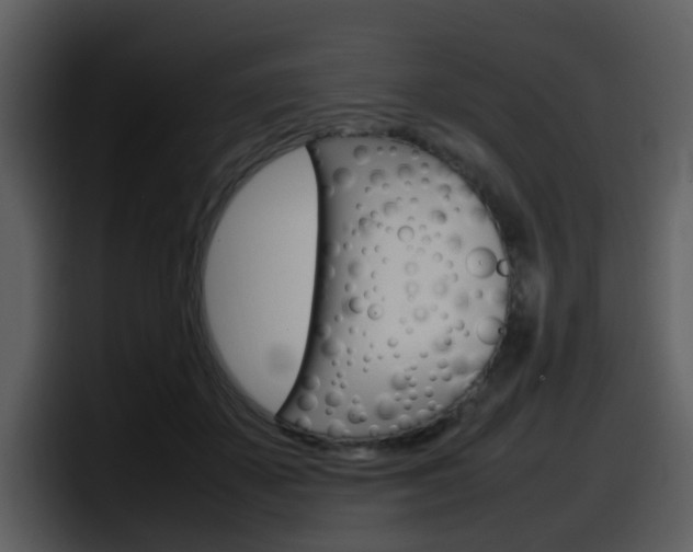 X0000098100507200804040749