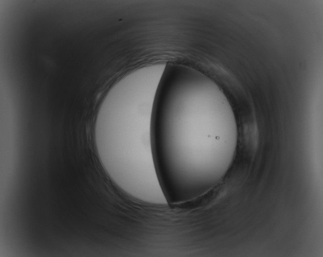 X0000098100508200804040749