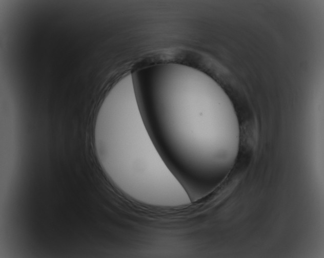X0000098100509200804040749