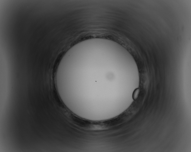 X0000098100510200804040749