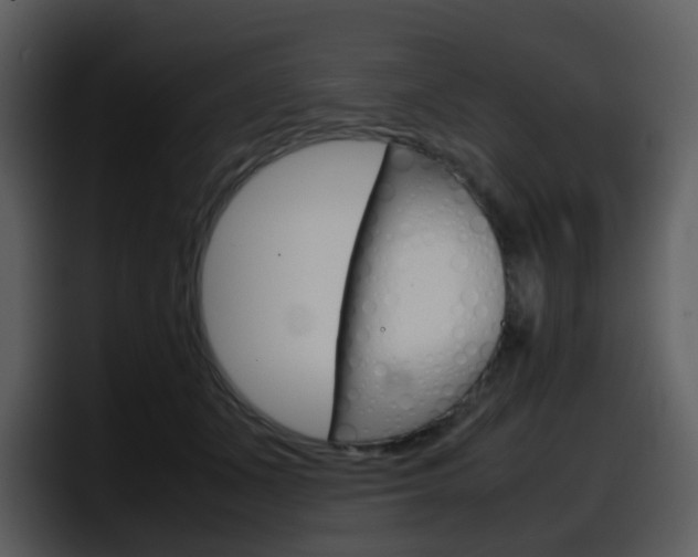 X0000098100511200804040749