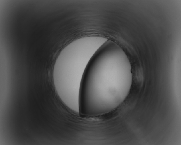 X0000098100512200804040749