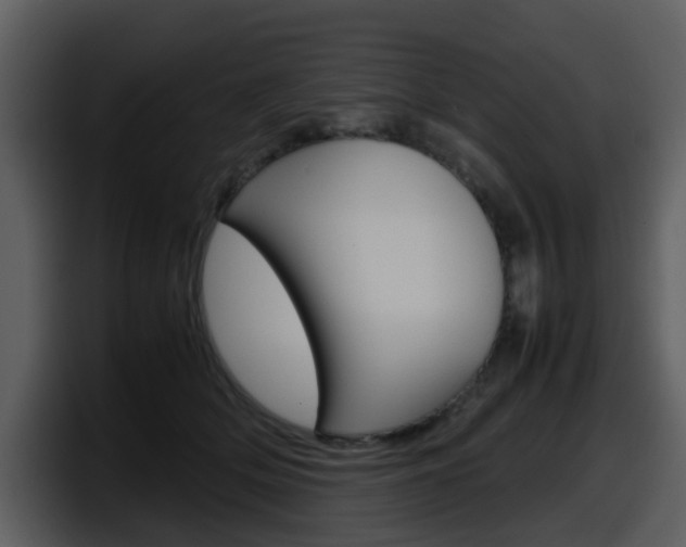 X0000098100514200804040749