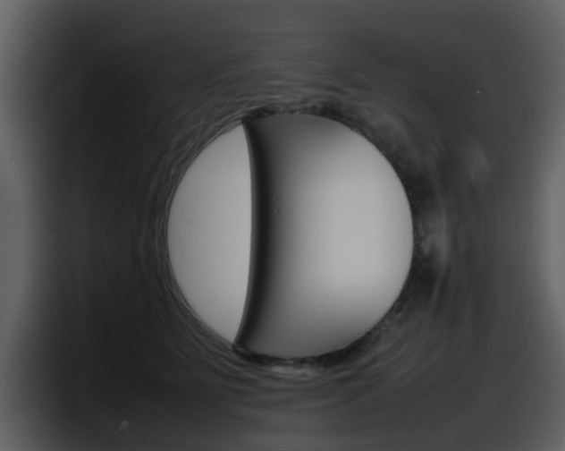X0000098100515200804040749