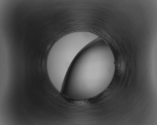 X0000098100516200804040749