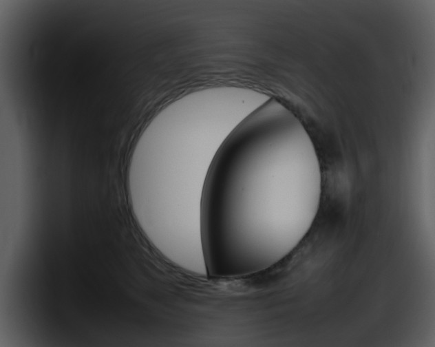 X0000098100517200804040749