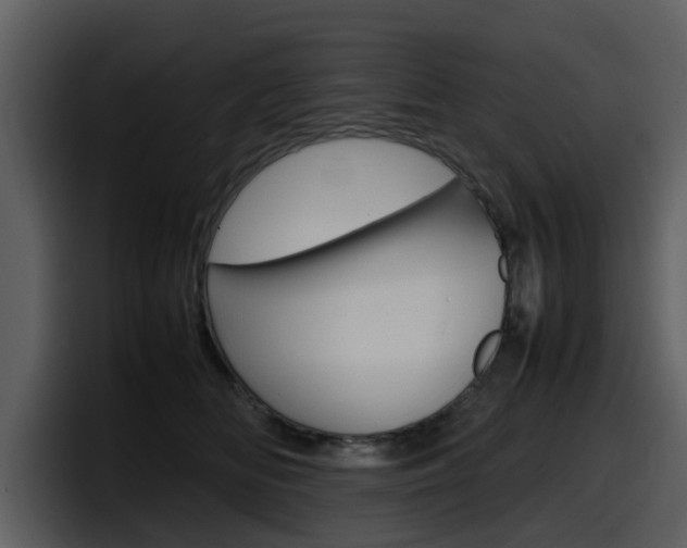 X0000098100518200804040749
